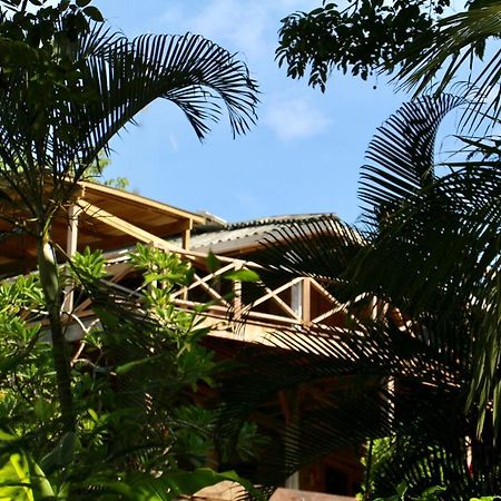 Eden Jungle Lodge 博卡斯德尔托罗 外观 照片