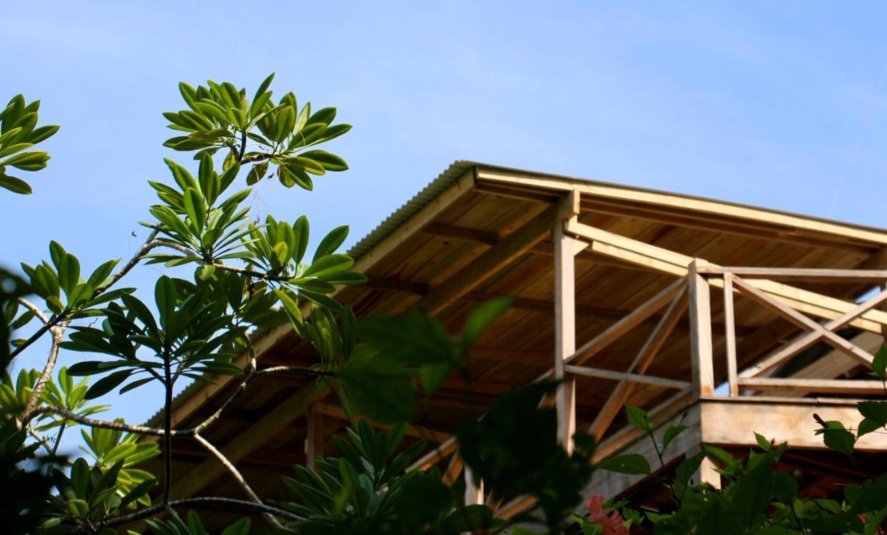 Eden Jungle Lodge 博卡斯德尔托罗 外观 照片
