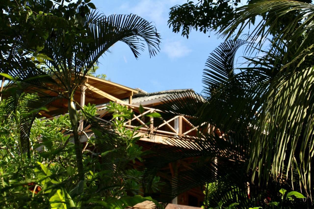 Eden Jungle Lodge 博卡斯德尔托罗 外观 照片