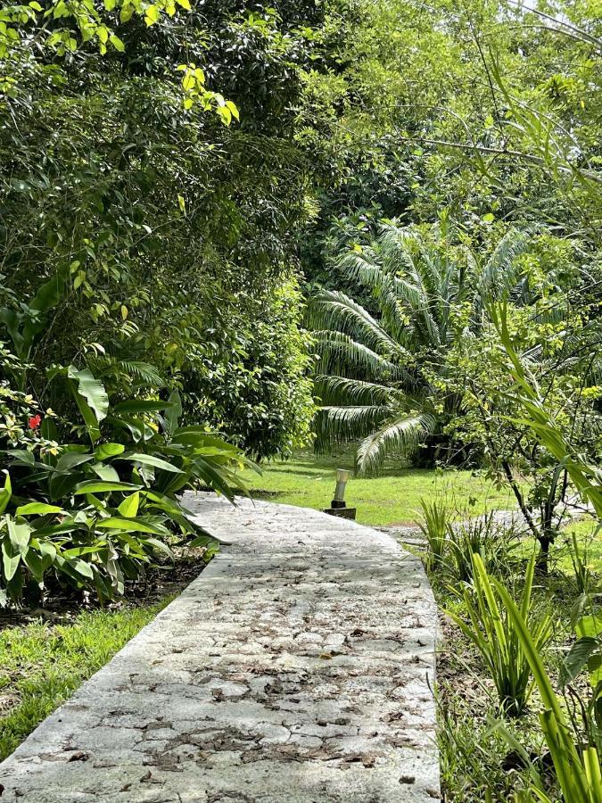 Eden Jungle Lodge 博卡斯德尔托罗 外观 照片