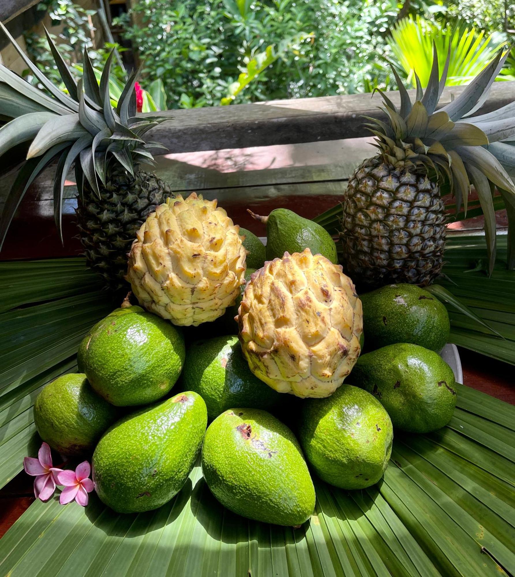 Eden Jungle Lodge 博卡斯德尔托罗 外观 照片