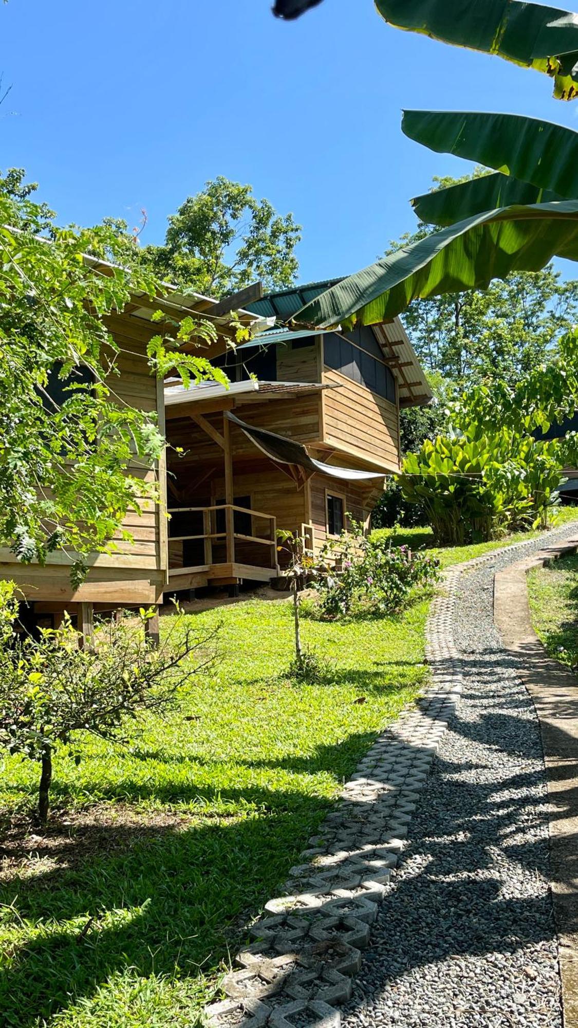 Eden Jungle Lodge 博卡斯德尔托罗 外观 照片
