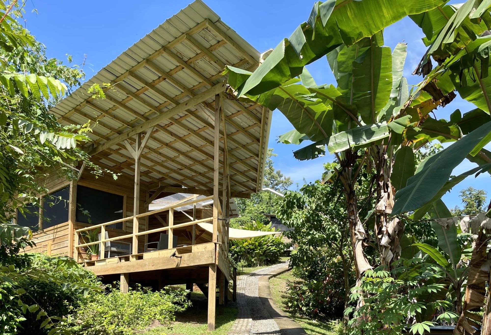 Eden Jungle Lodge 博卡斯德尔托罗 外观 照片